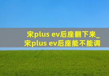 宋plus ev后座翻下来_宋plus ev后座能不能调